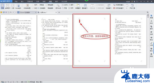 怎样删除word 文档页面 如何删除word文档中指定页码的页面