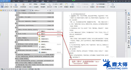 怎样删除word 文档页面 如何删除word文档中指定页码的页面