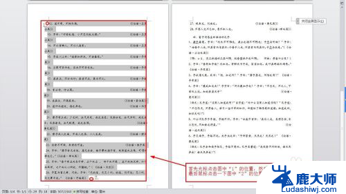 怎样删除word 文档页面 如何删除word文档中指定页码的页面