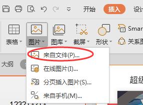 wps图片怎么进入 wps图片怎么插入