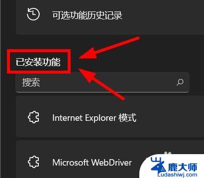 win11系统怎么卸载ie浏览器 Windows11如何卸载IE浏览器兼容模式