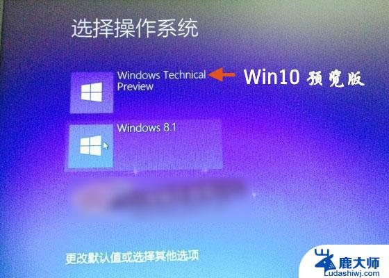 win8.1 win10双系统 Win8.1和Win10双系统安装步骤