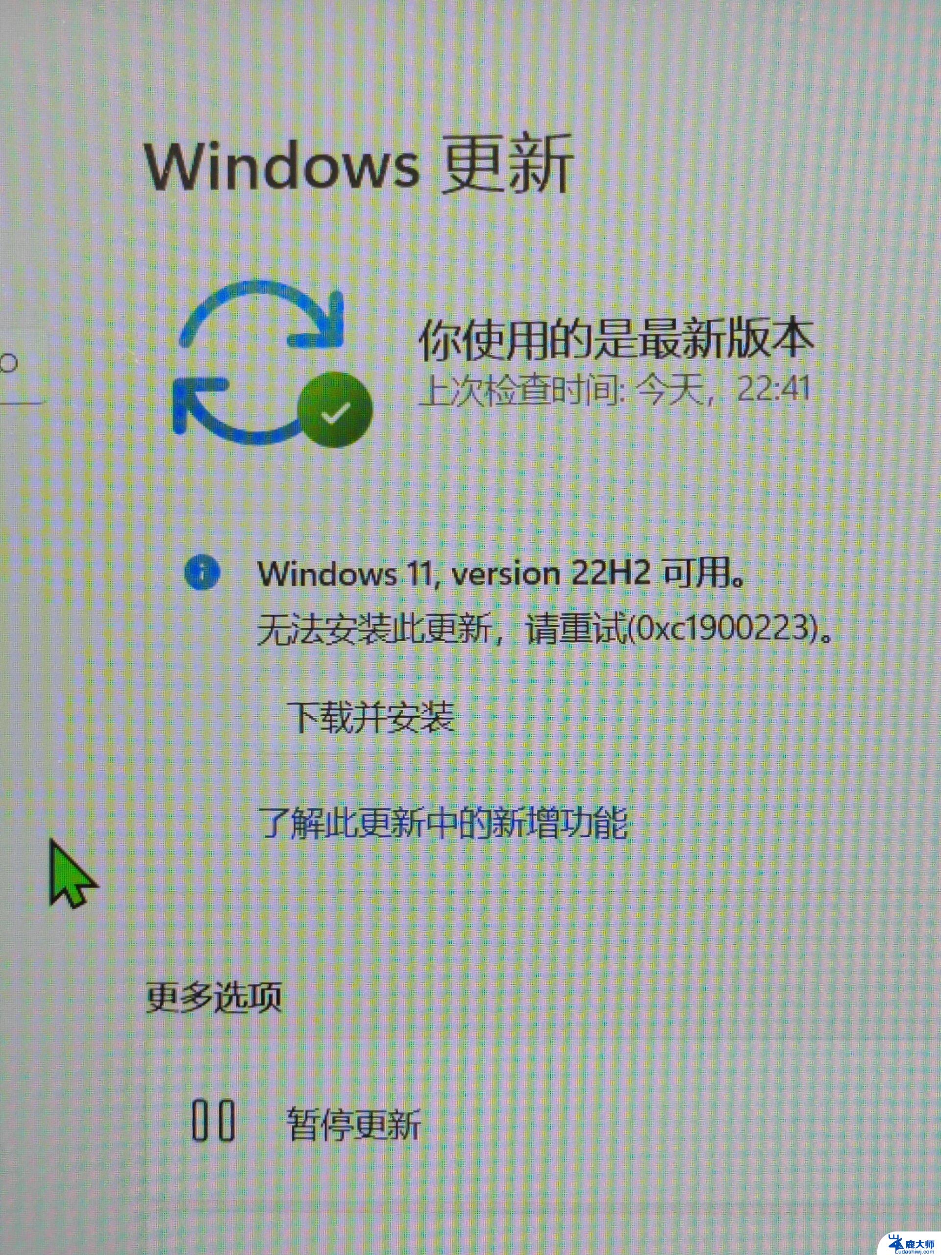 我的win10电脑没有win11更新 win10更新没有win11选项解决方法