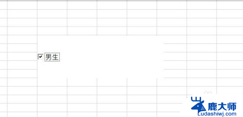 excel如何添加勾选框 Excel中插入可勾选的方框