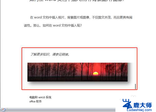 文档插图片的时候图片显示不全 word文档插入图片显示不全