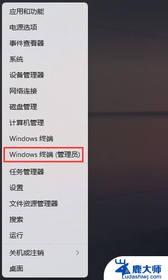 windows11笔记本插网线无法识别网 Win11以太网无法识别网络的解决步骤