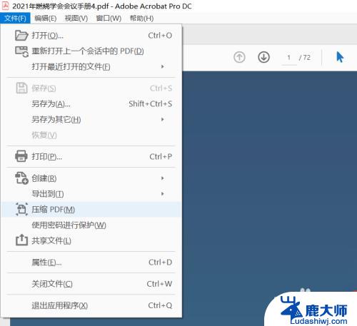 如何用adobe压缩pdf文件 Adobe Acrobat Pro DC如何压缩PDF文件大小