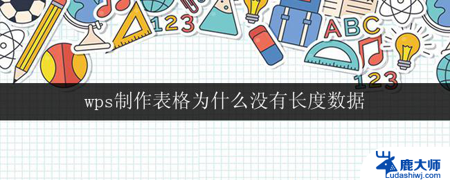 wps制作表格为什么没有长度数据 wps表格没有显示数据长度的原因是什么