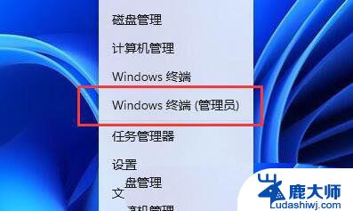 win11画图软件保存时闪退 Win11照片程序闪退怎么解决