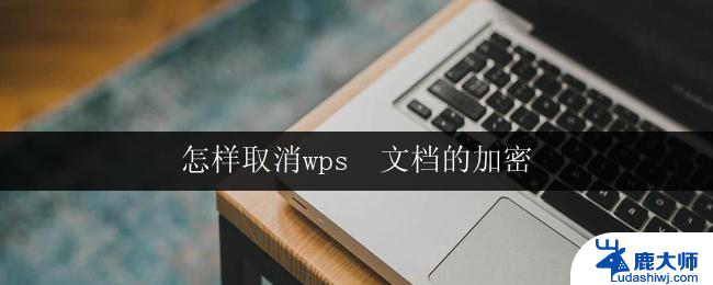 怎样取消wps  文档的加密 取消wps文档加密步骤