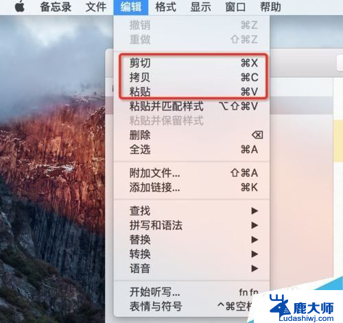 苹果电脑怎么快捷键复制粘贴 MAC系统复制黏贴快捷键是什么