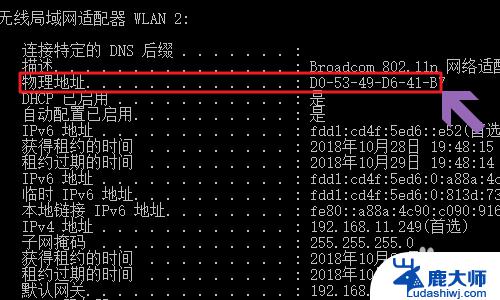 win10怎么查看网卡地址？教你一招轻松搞定！