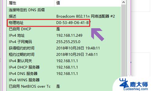 win10怎么查看网卡地址？教你一招轻松搞定！