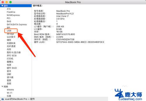 苹果电脑如何查看外接USB？一步步教你快速操作！