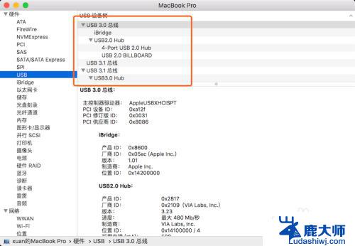 苹果电脑如何查看外接USB？一步步教你快速操作！