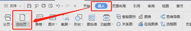 wps为什么在页前插入空白页无法显示完整的空白页