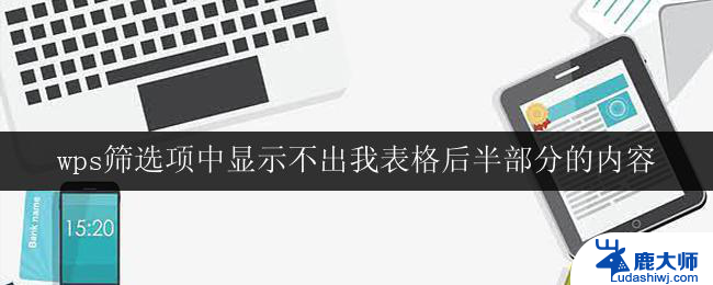 wps筛选项中显示不出我表格后半部分的内容 wps筛选功能不显示表格后半部分内容