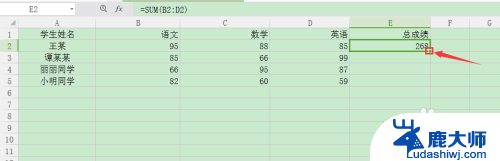 excel表格怎么统计数据总和 Excel中怎么计算总和公式