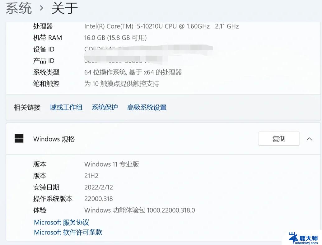 win11专业版指纹抱歉出现问题 Win11指纹识别错误解决方法