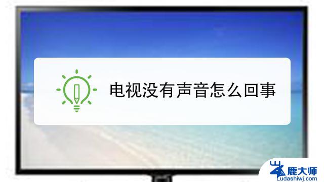 电视没有声音但却能正常播放 电视机没有声音只有图像是什么原因