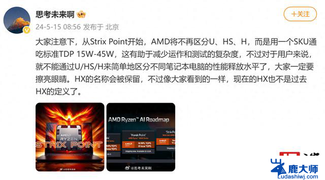 AMD未来移动端15~45W功耗级别单一处理器SKU消息报道