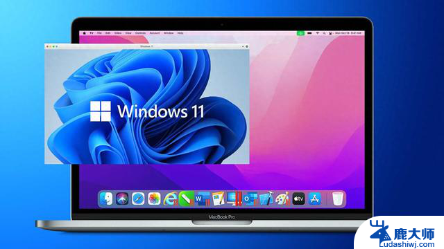 Windows 11再更新，ToDesk远程控制实现跨端全面体验！详细保姆级教程