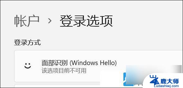 win11账户 面部识别无法使用 Win11面部识别无法使用怎么办