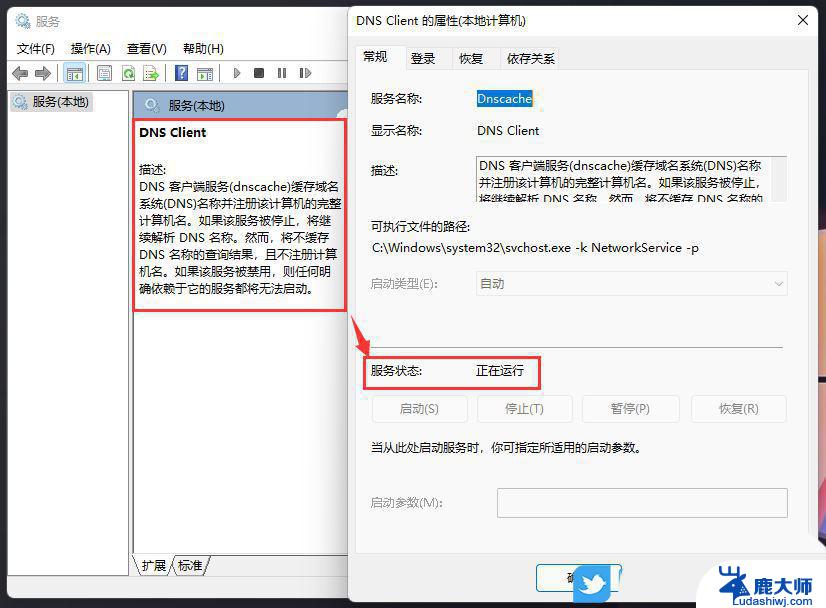 win11安装后无法联网 Win11无法联网怎么办