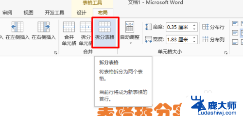 word怎么把表格拆分成两个 Word表格拆分技巧