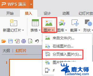 wps如何建一个相册 wps如何建一个相册步骤