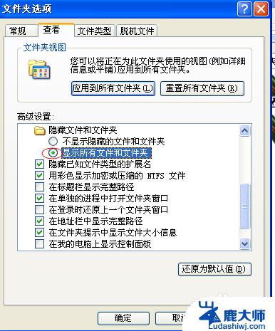 联想拯救者怎么隐藏桌面图标 单个桌面图标如何隐藏