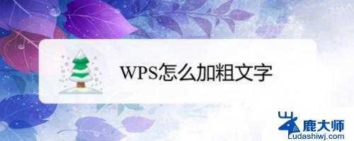 wps应用加粗格式 wps应用加粗格式的快捷键是什么