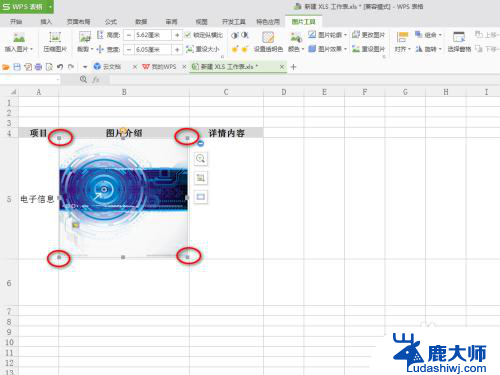 wpsexcel将图片嵌入单元格 WPS表格单元格如何嵌入图片